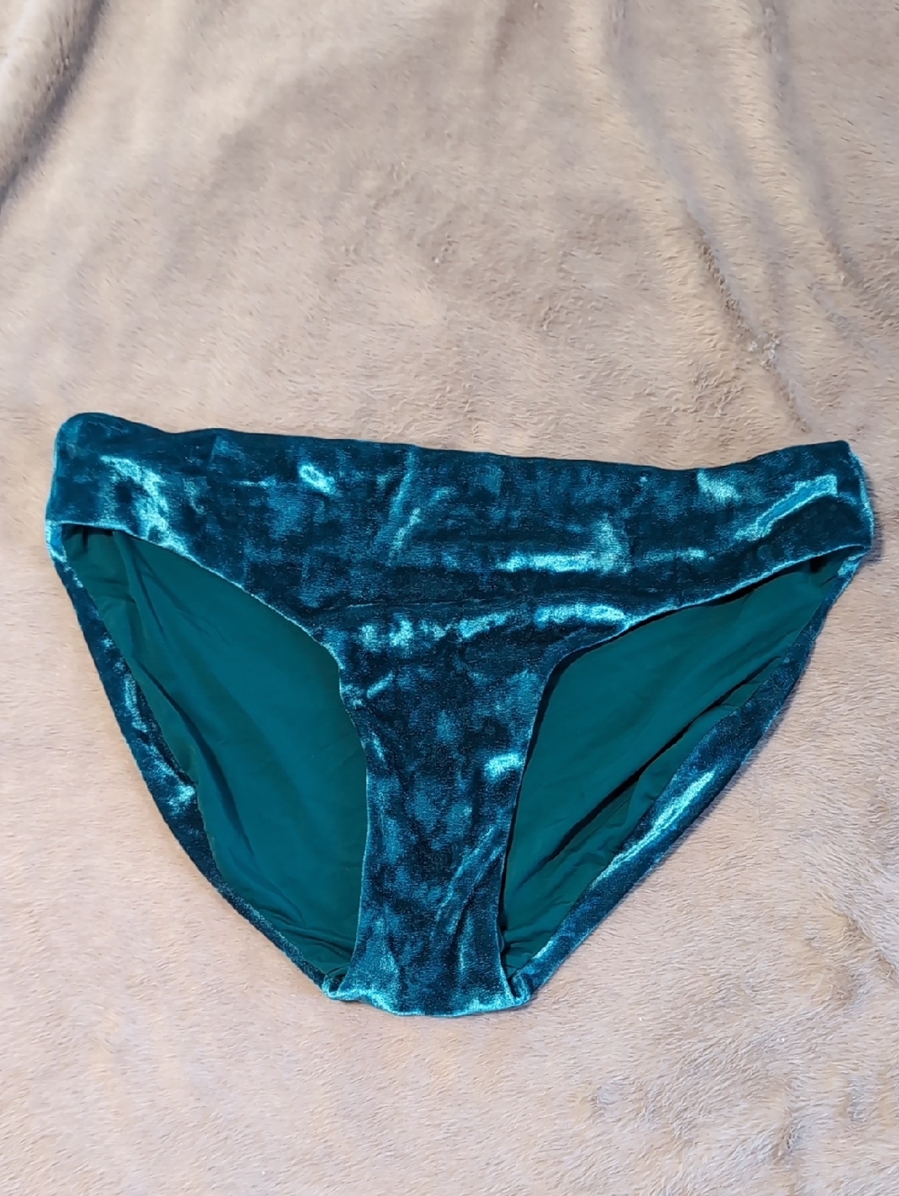 Teal Velvet Bikini Bottoms